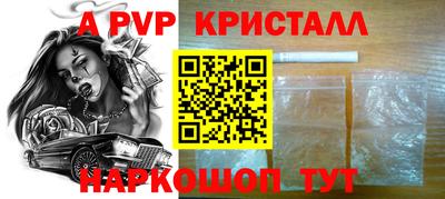 амф Кингисепп
