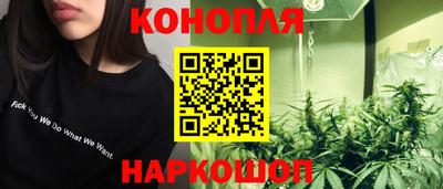 амф Кингисепп