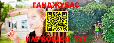 амф Кингисепп