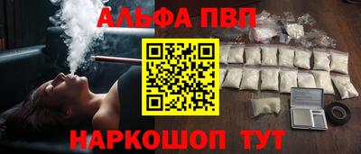амф Кингисепп
