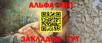 амф Кингисепп