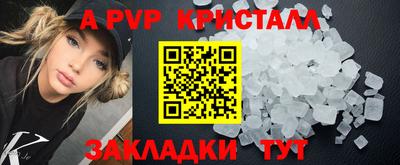 амф Кингисепп