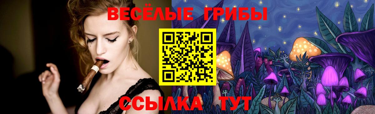 Галлюциногенные грибы Psilocybine cubensis Чернушка